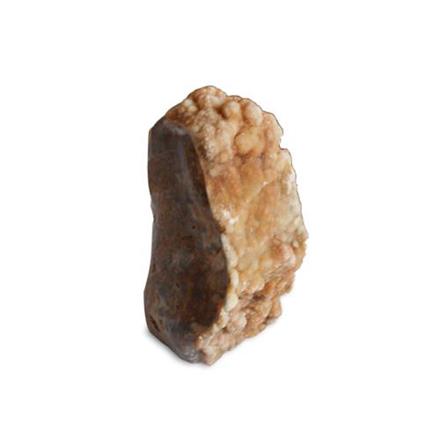 Balishine: Your natural source of indonesian handicraft presents in its Home Decor collection the Petrified Wood Sculpture Decor:12DF38656:This sculpture is made from petrified wood.  
