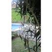 balishine This dream catcher is a handicraft of Bali made from string and feather.